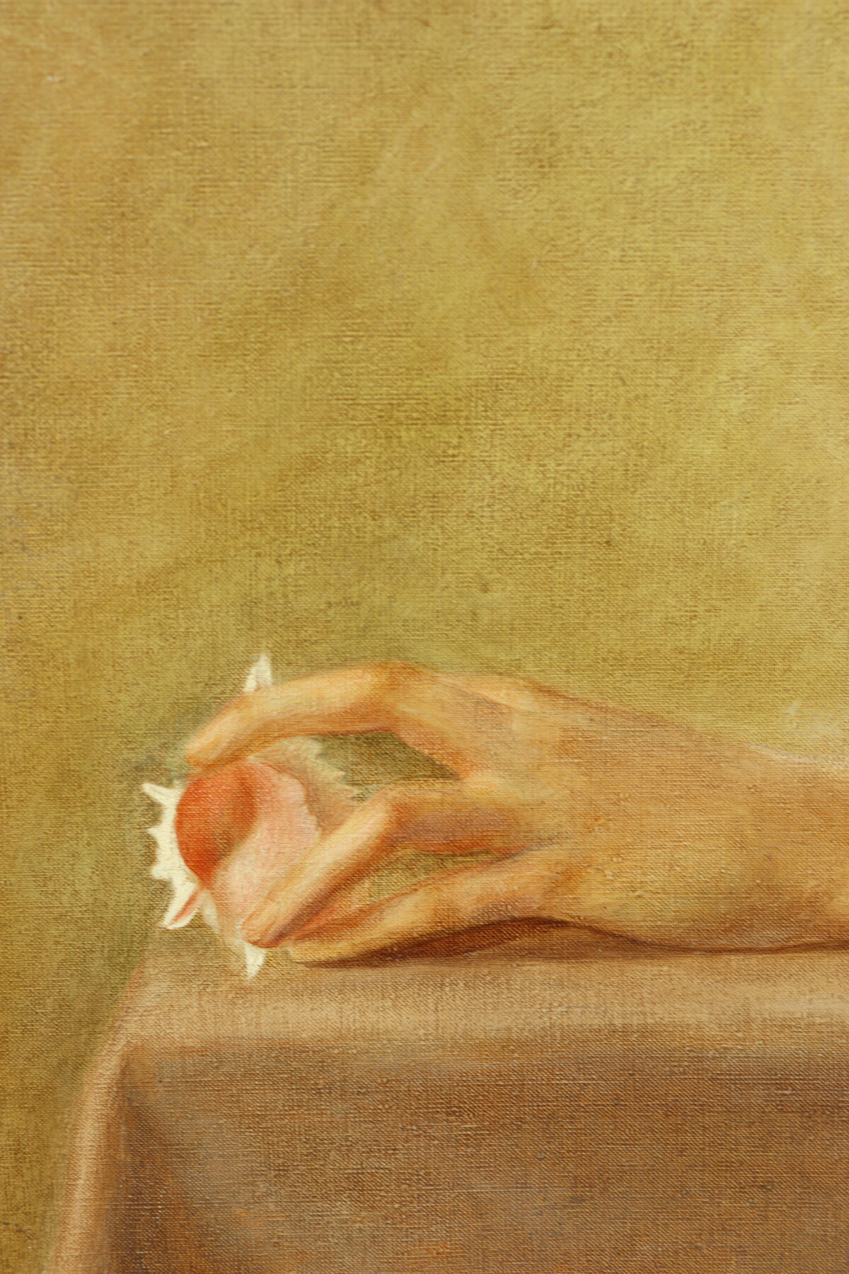 Nu au coquillage par Jean-Claude Janet