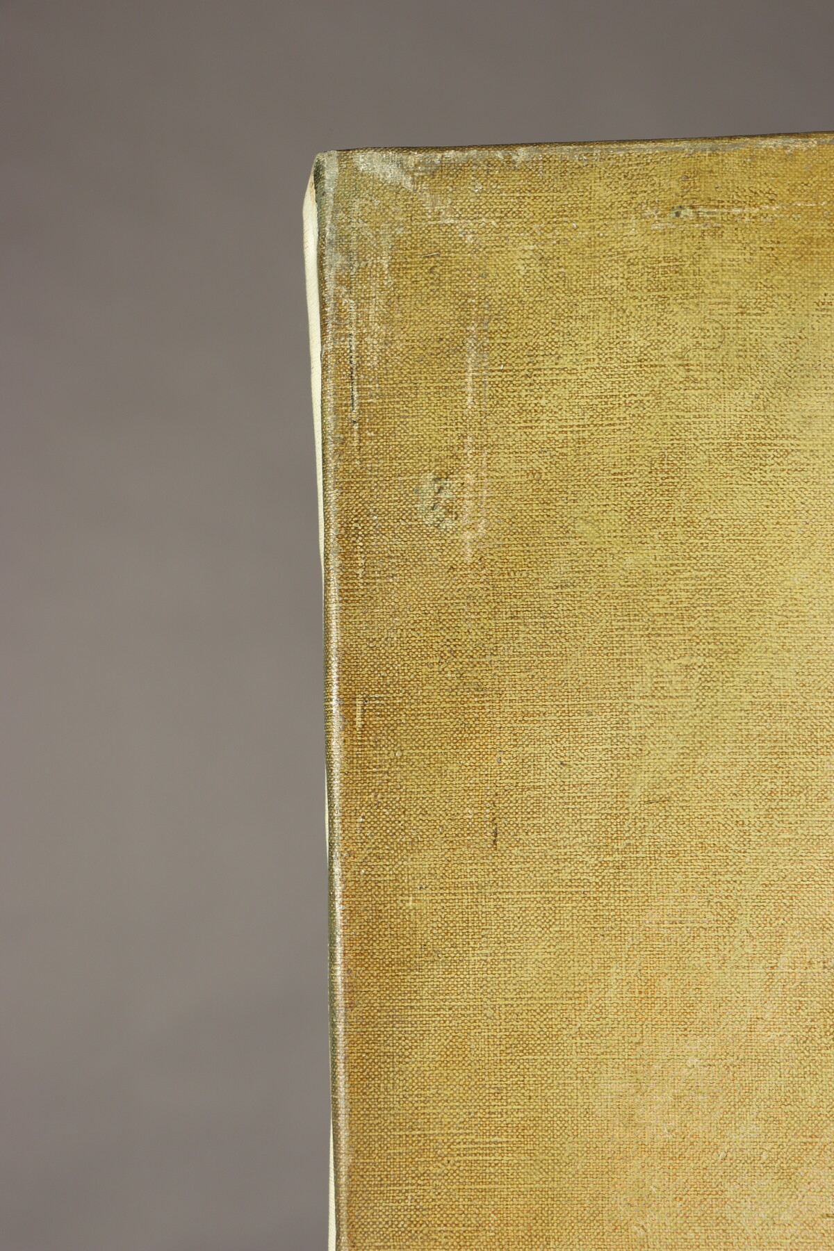 Nu au coquillage par Jean-Claude Janet